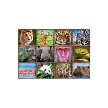 Educa Wild Animals Çocuk Puzzle