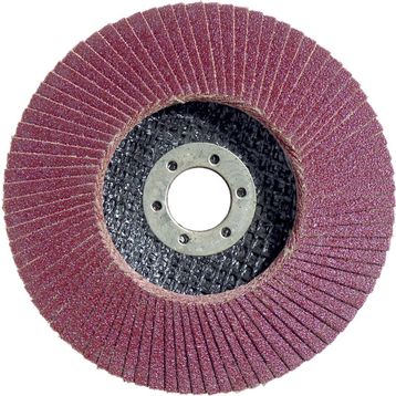 Egesan 115 mm 80 Kum Flap Disk