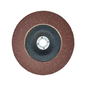 Egesan 180 mm 80 Kum Flap Disk