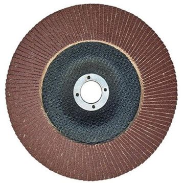 Egesan 180 mm 80 Kum Flap Disk