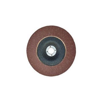 Egesan 180 mm 80 Kum Flap Disk