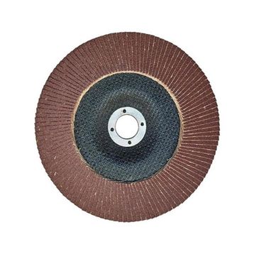 Egesan 180 mm 80 Kum Flap Disk