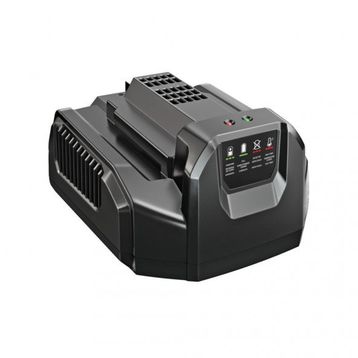 Ego Power CH2100E Standart Şarj Ünitesi