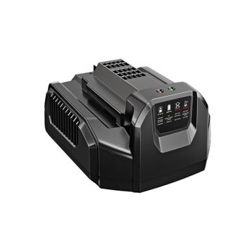 Ego Power CH2100E Standart Şarj Ünitesi