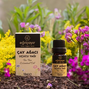 Eğriçayır 10 ml Çay Ağacı Uçucu Yağı