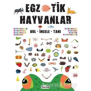 Egzotik Hayvanlar Kolektif