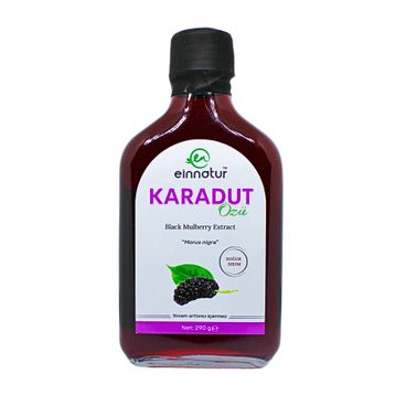 Einnatur 290 gr Karadut Özü
