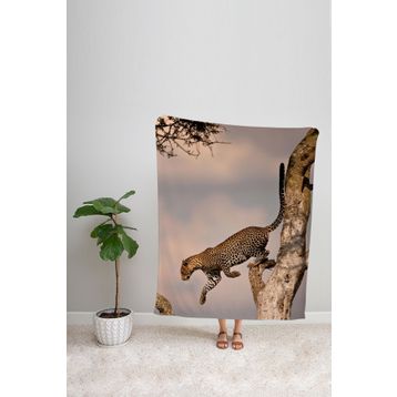 Ejoya 90625 Modern Desenli Polar TV Battaniyesi