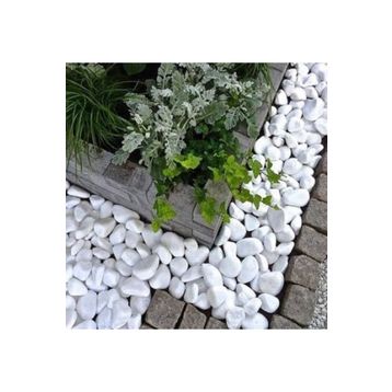 Ekodoğa Dolomit Beyaz 15 kg 4-6 cm Dekoratif Taş