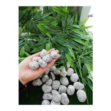 Ekodoğa Granit Dolomit Siyah Beyaz 1 kg 2.5-4 cm Dekoratif Taş