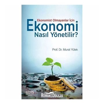 Ekonomi Nasıl Yönetilir? - Murat Yülek