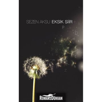 EKSIK ŞİİR - SEZEN AKSU