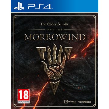 Elder Scrolls Online PS4