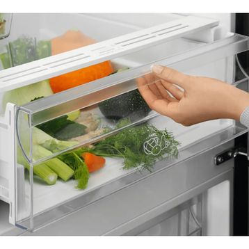 Electrolux LNT5ME32U1 Gri Buzdolabı