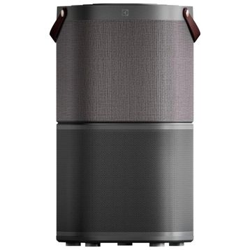 Electrolux PA91-404DG Wi-Fi Hava Temizleyici