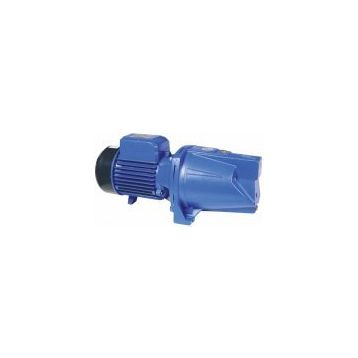 Elektro Maschinen WPEM11500GST Bahçe Pompası