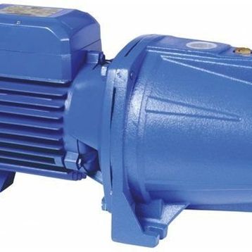Elektro Maschinen WPEM11500GST Bahçe Pompası