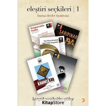 Eleştiri Seçkileri 1 - Birgül Yeşiloğlu Güler