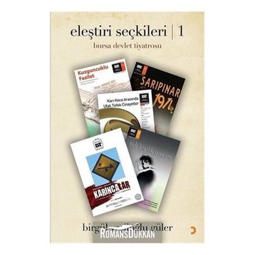Eleştiri Seçkileri 1 - Birgül Yeşiloğlu Güler