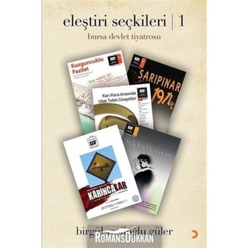 Eleştiri Seçkileri 1 - Birgül Yeşiloğlu Güler