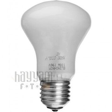 Elinchrom 100 W 196 V E27 Model Ampulu
