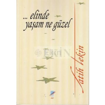 ELINDE YAŞAM NE GÜZEL - FATIH TEKIN
