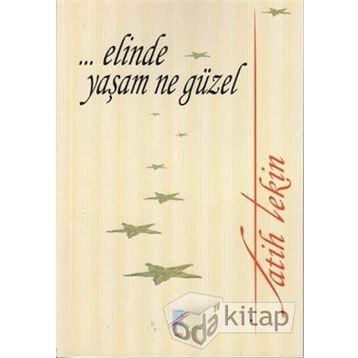 ELINDE YAŞAM NE GÜZEL - FATIH TEKIN