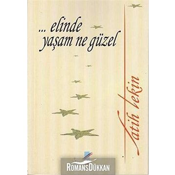 ELINDE YAŞAM NE GÜZEL - FATIH TEKIN