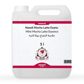Elito 5 lt Premium Naneli Mocha Latte Esansı