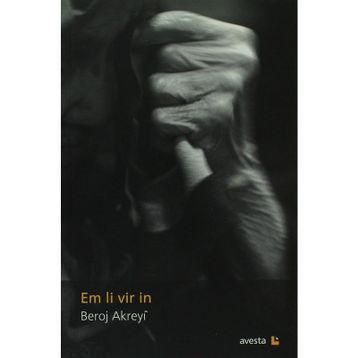 EM LI VIR IN - BEROJ AKREYI