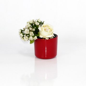 Emin Home 11 cm 0.82 lt 6 Adet Mimoza Saksı