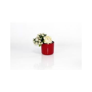 Emin Home 11 cm 0.82 lt 6 Adet Mimoza Saksı