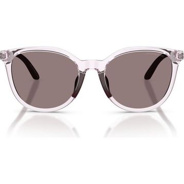 Emporio Armani 4007U 61397N 49-17 Kadın Güneş Gözlüğü