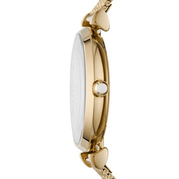 Emporio Armani AR11321 Bayan Kol Saati