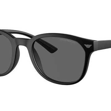 Emporio Armani EA4225U 5001/87 53 Unisex Güneş Gözlüğü