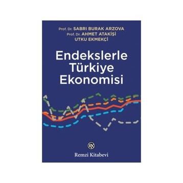 Endekslerle Türkiye Ekonomisi - Remzi Kitabevi