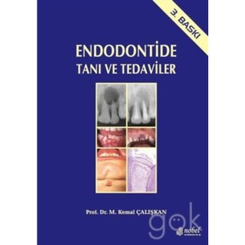 Endodontide Tanı ve Tedaviler - M. Kemal Çalışkan
