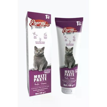 Energy Cat Food 100 gr Yetişkin Kedi Multi Paste