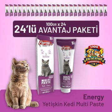 Energy Cat Food 24x100 gr Yetişkin Kedi Multi Paste