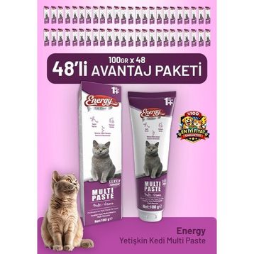 Energy Cat Food 48x100 gr Yetişkin Kedi Multi Paste