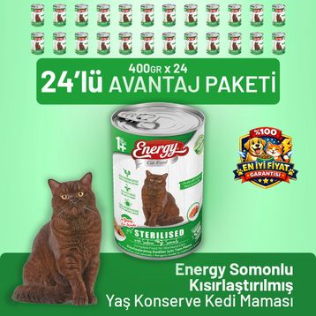 Energy Cat Food Somonlu Kısırlaştırılmış 24x400 gr Kedi Maması