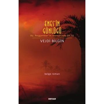Enes'in Günlüğü - Vejdi Bilgin