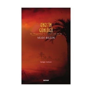 Enes'in Günlüğü - Vejdi Bilgin