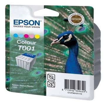 Epson C13T00101120 Renkli Kartuş