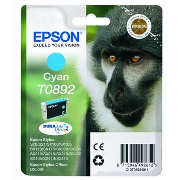 Epson C13T08924020 Kartuş
