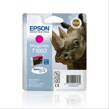 Epson C13T10034020 Kartuş