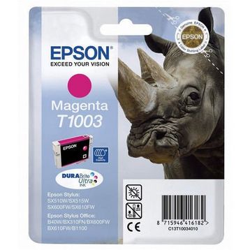 Epson C13T10034020 Kartuş