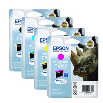 Epson C13T10044020 Kartuş