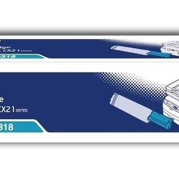 Epson CX-21-C13S050318 Mavi Toner