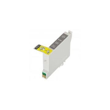 Epson T0541 Siyah Kartuş